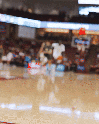 College Of Charleston GIF by Charleston Basketball