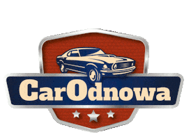 CarOdnowa Sticker