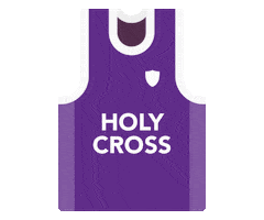 Holy Cross Athletics Sticker by College of the Holy Cross