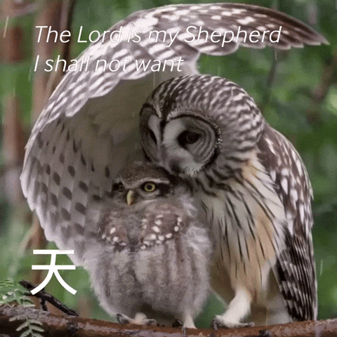 天 GIF by Haus of Tzukuri