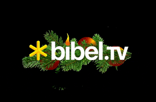 Christmas Tree GIF by Bibel TV