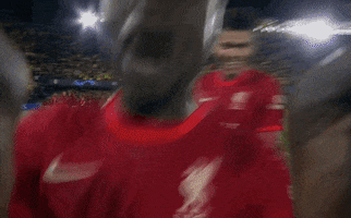 Champions League Win GIF by UEFA