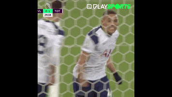 Premier League Goal GIF by Play Sports