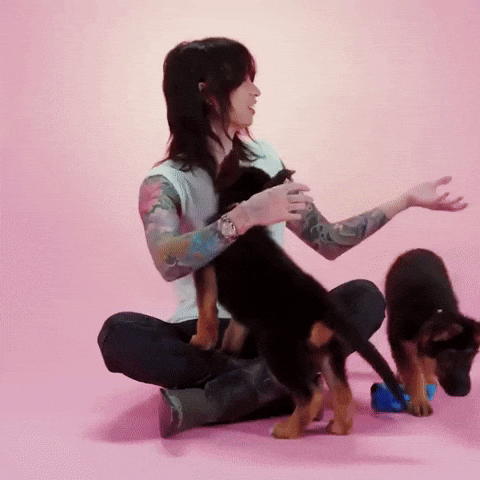 Puppy Gabriel GIF