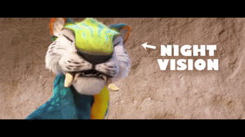 The Croods Cat GIF by The Croods: A New Age
