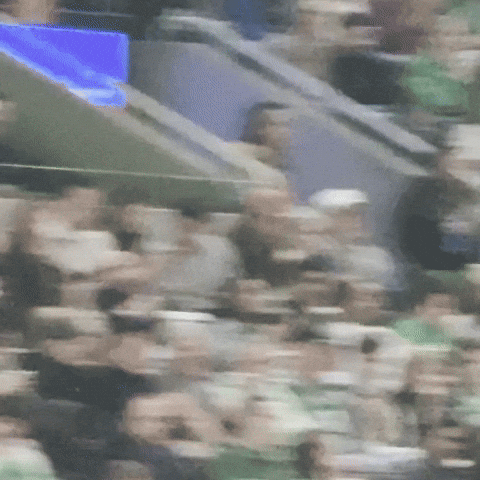 Troll Boston GIF