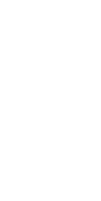 Flower Tulip Sticker by blateral