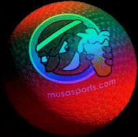 MUSA Kickball GIF