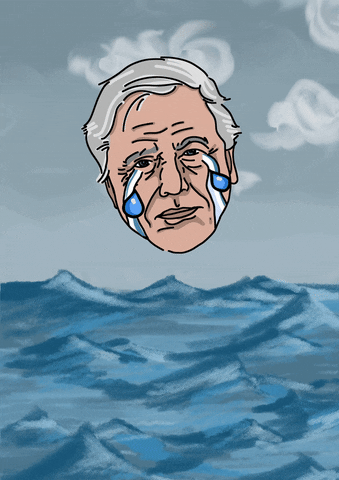 David Attenborough Crying GIF by Comms INC