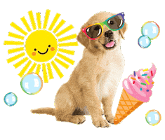 Ice Cream Fun Sticker by Schoolgirl Style Classroom Decor
