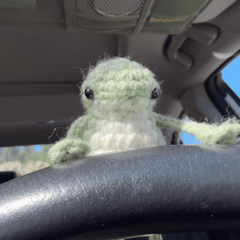 Frog Driving GIF