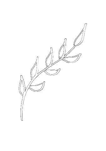 Illustration Grow Sticker by HelloLife