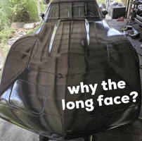 Why The Long Face GIF
