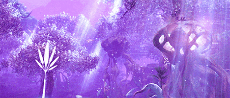 video photoshop GIF