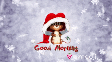 Good Morning Christmas GIF by Vimodji