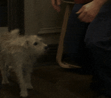 Love You Kiss GIF