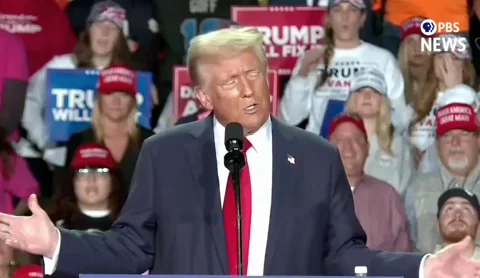 Donald Trump Ok GIF