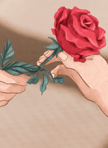 Romantic Birthday GIFs - Get the best GIF on GIPHY