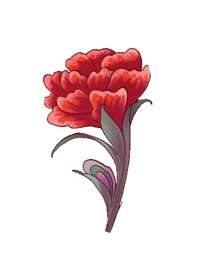 Flower Rose Sticker by Makapna