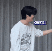 Stray Kids Skz GIF