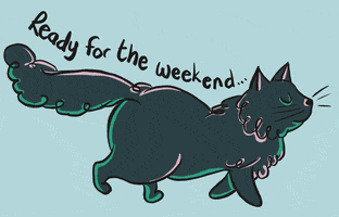 Illustrated gif. Elegant black cat is walking with its eyes closed and its fur shimmers with greens and violets. Text, "Ready for the weekend."