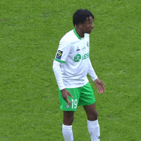 Football What GIF by AS Saint-Étienne