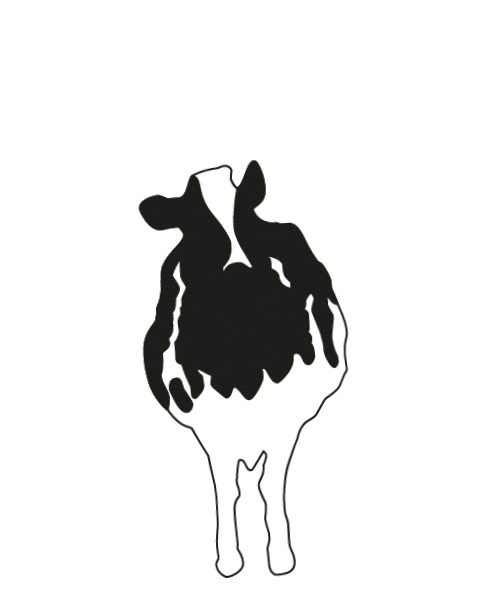 Ben&Jerrys Logo Sticker by Ben & Jerry's Offiziell