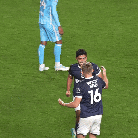 The Den Hug GIF by MillwallFC