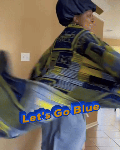 Michigan GIF