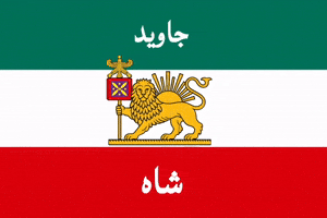 Flag King GIF