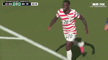 World Cup Goal GIF