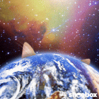 Cat-lightning GIFs - Get the best GIF on GIPHY Cat-lightning GIFs - Get the best GIF on GIPHY