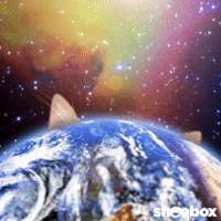 200w.webp