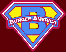 bungeeamerica bungee bungee jumping bungee jump bridge to nowhere GIF