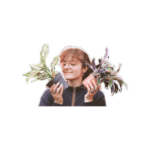 Animated Sticker