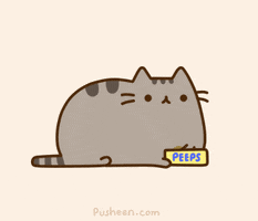 Pusheen The Cat Eating Pizza GIFs - Find & Share on GIPHY