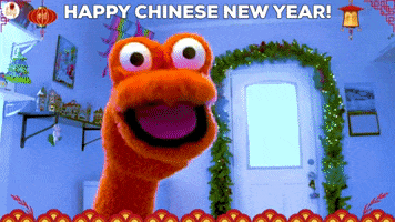 Happy New Year GIF by The Fact a Day