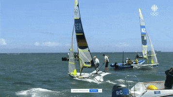 Celebration GIF