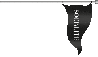 Summer Del Sticker by Socialite