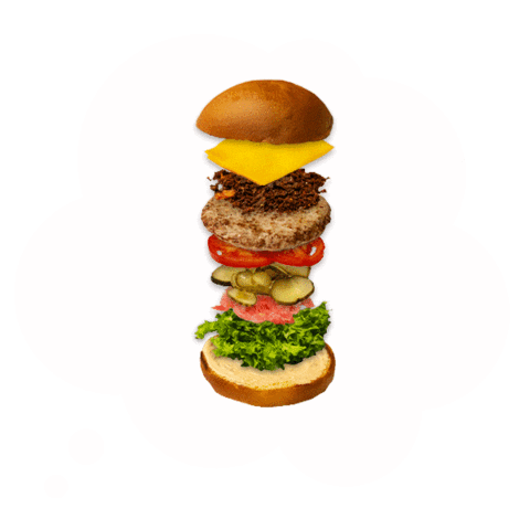 blackstarburgeru Sticker