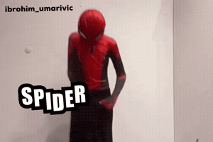 The Spider Dancing GIF