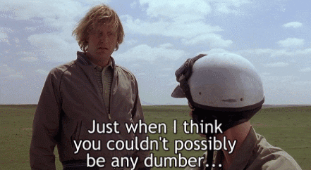 Image result for dumb and dumber gif
