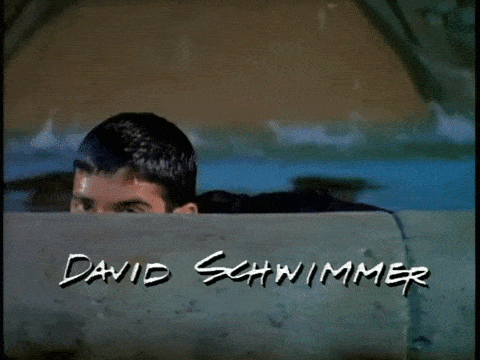 david schwimmer