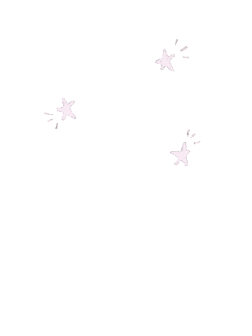 Star Sticker