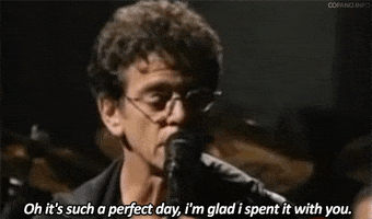 rock drugs transformer lou reed perfect day - 200_s