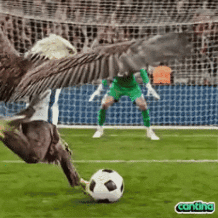 United States Soccer GIF by Cantina