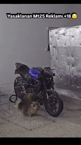 Mt25 GIF
