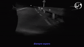 Driving Lost Highway GIF by Medalla