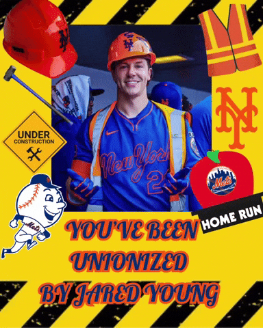 Lets Go Mets GIF