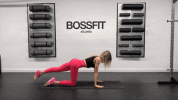 Quadruped Leg Raise GIF
